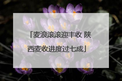 麦浪滚滚迎丰收 陕西麦收进度过七成