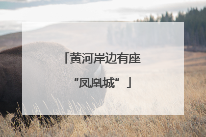 黄河岸边有座“凤凰城”
