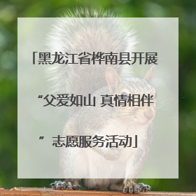 黑龙江省桦南县开展“父爱如山 真情相伴”志愿服务活动