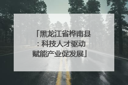 黑龙江省桦南县：科技人才驱动 赋能产业促发展