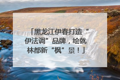 黑龙江伊春打造“伊法调”品牌，绘就林都新“枫”景！