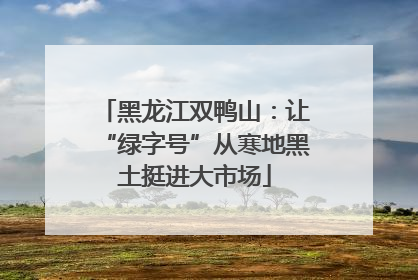 黑龙江双鸭山：让“绿字号”从寒地黑土挺进大市场