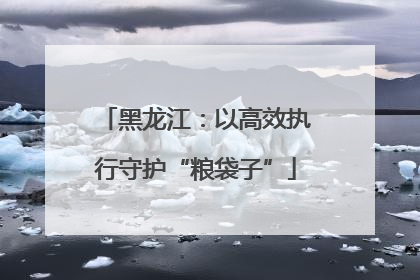 黑龙江：以高效执行守护“粮袋子”