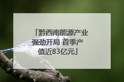 黔西南能源产业强劲开局 首季产值近83亿元