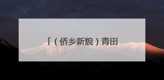 （侨乡新貌）青田“侨贸网络”助推浙江优质农产品出海