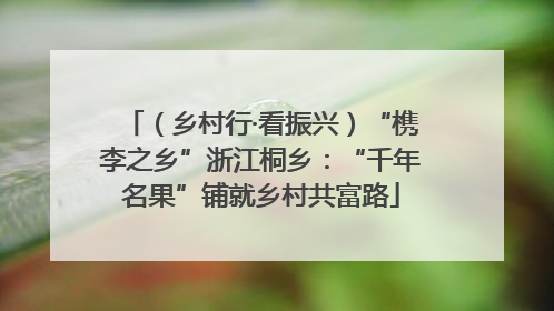 （乡村行·看振兴）“槜李之乡”浙江桐乡：“千年名果”铺就乡村共富路