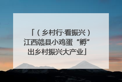 （乡村行·看振兴）江西赣县小鸡蛋“孵”出乡村振兴大产业