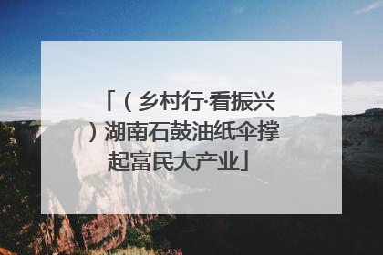 （乡村行·看振兴）湖南石鼓油纸伞撑起富民大产业