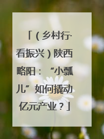 （乡村行·看振兴）陕西略阳：“小瓢儿”如何撬动亿元产业？