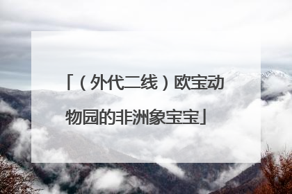 （外代二线）欧宝动物园的非洲象宝宝
