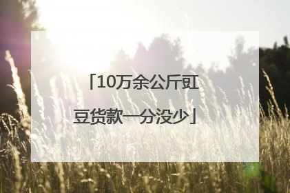 10万余公斤豇豆货款一分没少