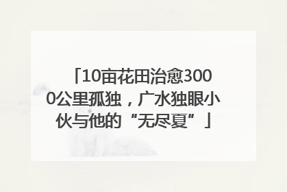 10亩花田治愈3000公里孤独，广水独眼小伙与他的“无尽夏”