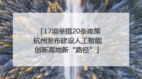 17项举措20条政策 杭州发布建设人工智能创新高地新“路径”