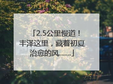2.5公里慢道！丰泽这里，藏着初夏治愈的风……