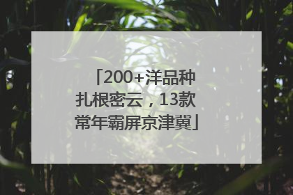 200+洋品种扎根密云，13款常年霸屏京津冀