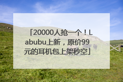 20000人抢一个！Labubu上新，原价99元的耳机包上架秒空