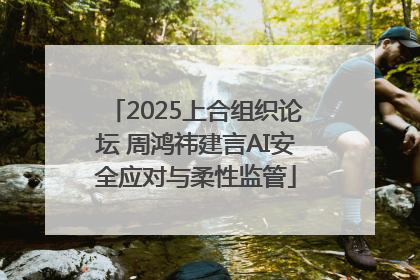 2025上合组织论坛 周鸿祎建言AI安全应对与柔性监管