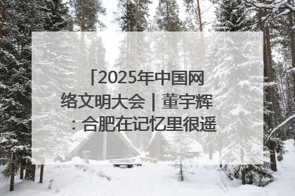 2025年中国网络文明大会｜董宇辉：合肥在记忆里很遥远也很亲切