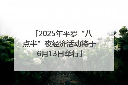 2025年平罗“八点半”夜经济活动将于6月13日举行