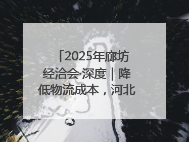 2025年廊坊经洽会·深度｜降低物流成本，河北物流集团找到一把“金钥匙”