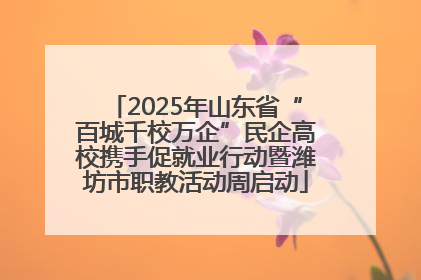 2025年山东省“百城千校万企”民企高校携手促就业行动暨潍坊市职教活动周启动