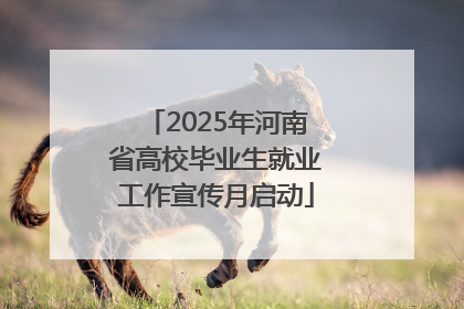 2025年河南省高校毕业生就业工作宣传月启动