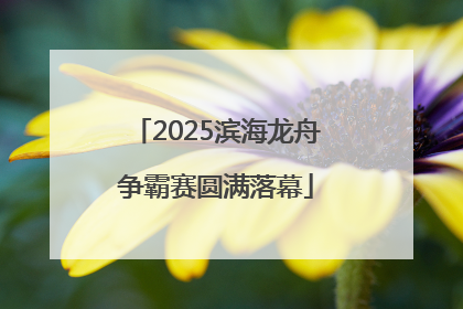 2025滨海龙舟争霸赛圆满落幕