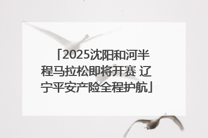 2025沈阳和河半程马拉松即将开赛 辽宁平安产险全程护航
