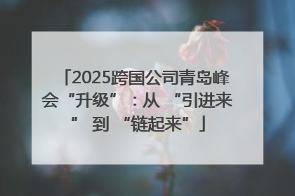 2025跨国公司青岛峰会“升级”：从 “引进来” 到 “链起来”