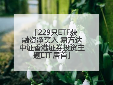 229只ETF获融资净买入 易方达中证香港证券投资主题ETF居首