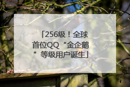 256级！全球首位QQ“金企鹅”等级用户诞生