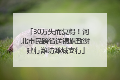 30万失而复得！河北市民跨省送锦旗致谢建行潍坊潍城支行