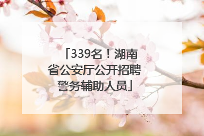 339名！湖南省公安厅公开招聘警务辅助人员