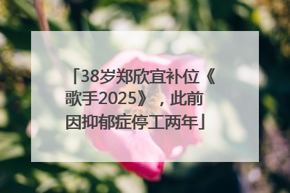 38岁郑欣宜补位《歌手2025》，此前因抑郁症停工两年