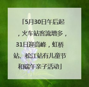 5月30日午后起，火车站客流增多，31日迎高峰，虹桥站、松江站有儿童节和端午亲子活动