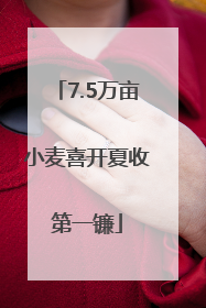 7.5万亩小麦喜开夏收第一镰