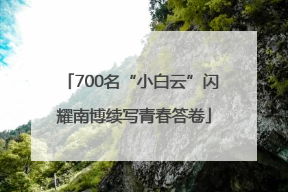 700名“小白云”闪耀南博续写青春答卷
