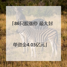 86只股涨停 最大封单资金4.03亿元