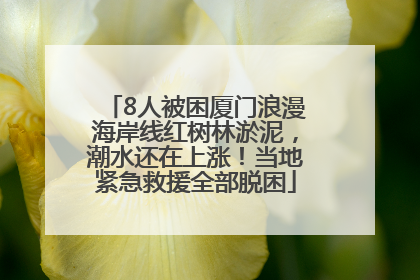 8人被困厦门浪漫海岸线红树林淤泥，潮水还在上涨！当地紧急救援全部脱困