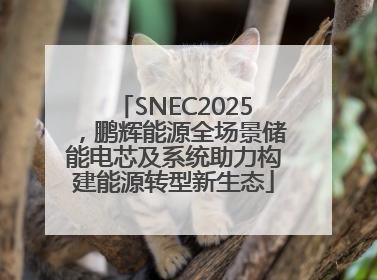 SNEC2025，鹏辉能源全场景储能电芯及系统助力构建能源转型新生态